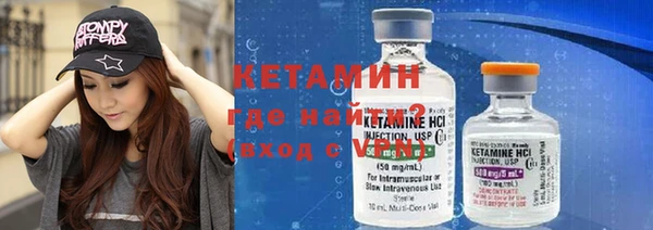 крисы Баксан