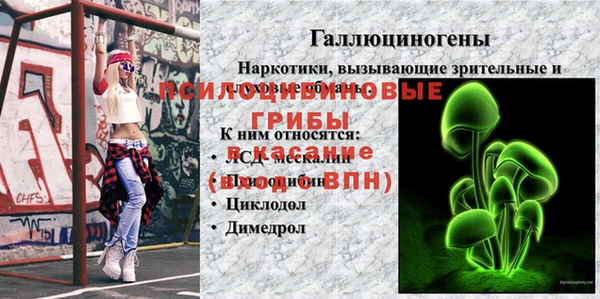 apvp Балахна