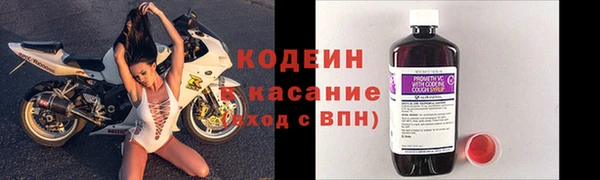крисы Баксан