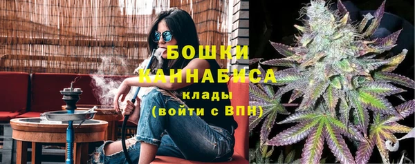 крисы Баксан