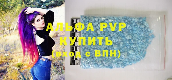 крисы Баксан