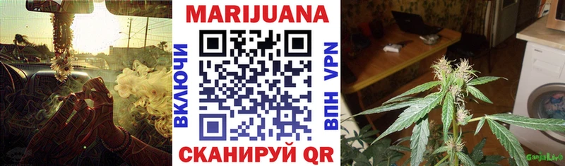 цена наркотик  Николаевск  гидра ССЫЛКА  Шишки марихуана OG Kush 